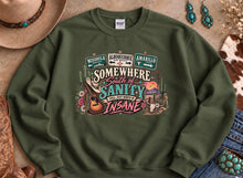 Load image into Gallery viewer, Somewhere South Of Sanity Country Music Concert Western Sweatshirt

