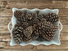 Load image into Gallery viewer, 25pcs Pinecones Assorted Bulk Craft Pinecones
