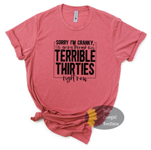 Terrible Thirties Funny Birthday T-Shirt