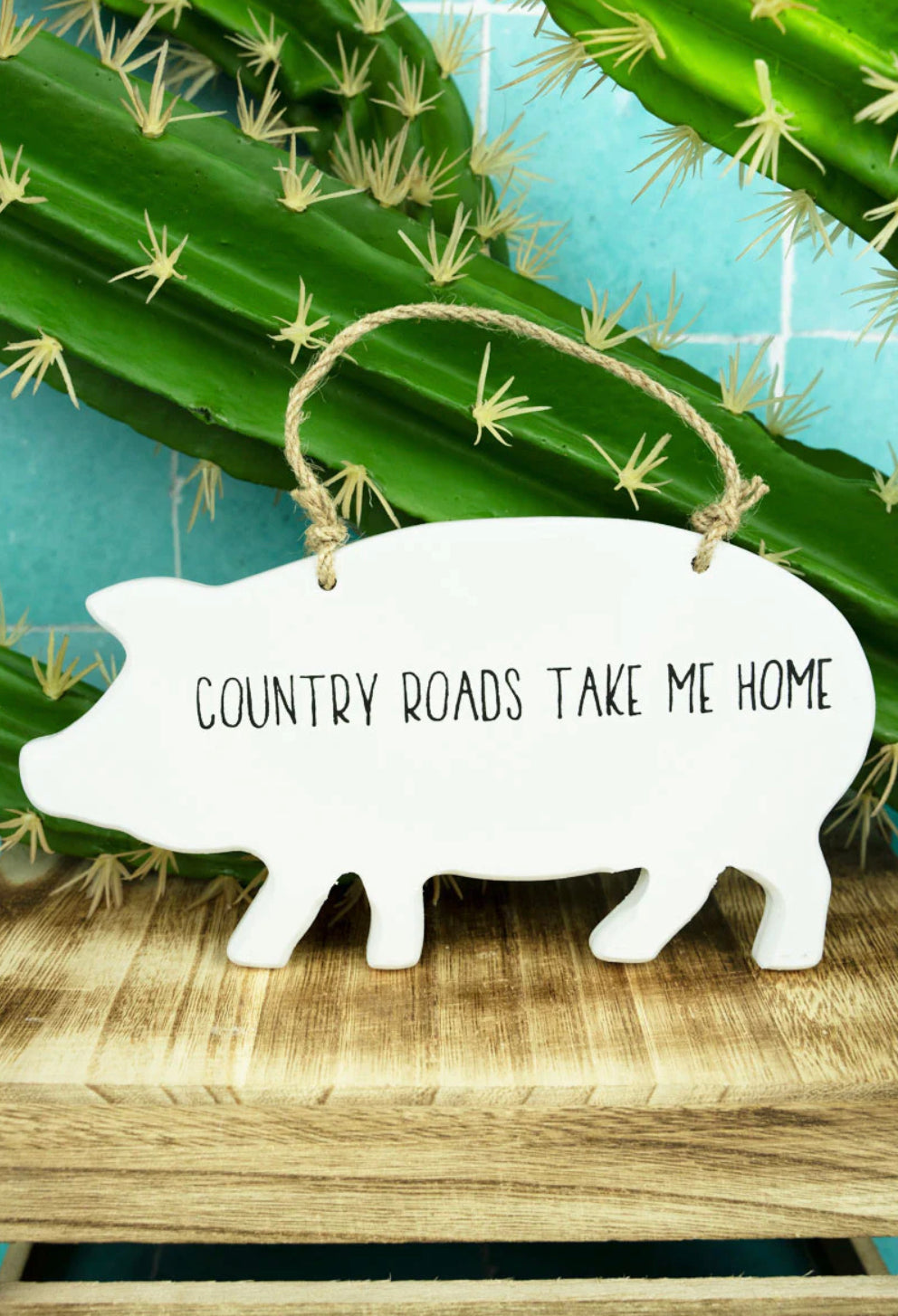 Country Roads Take Me Home Farmhouse Pig Hanging Wall Sign