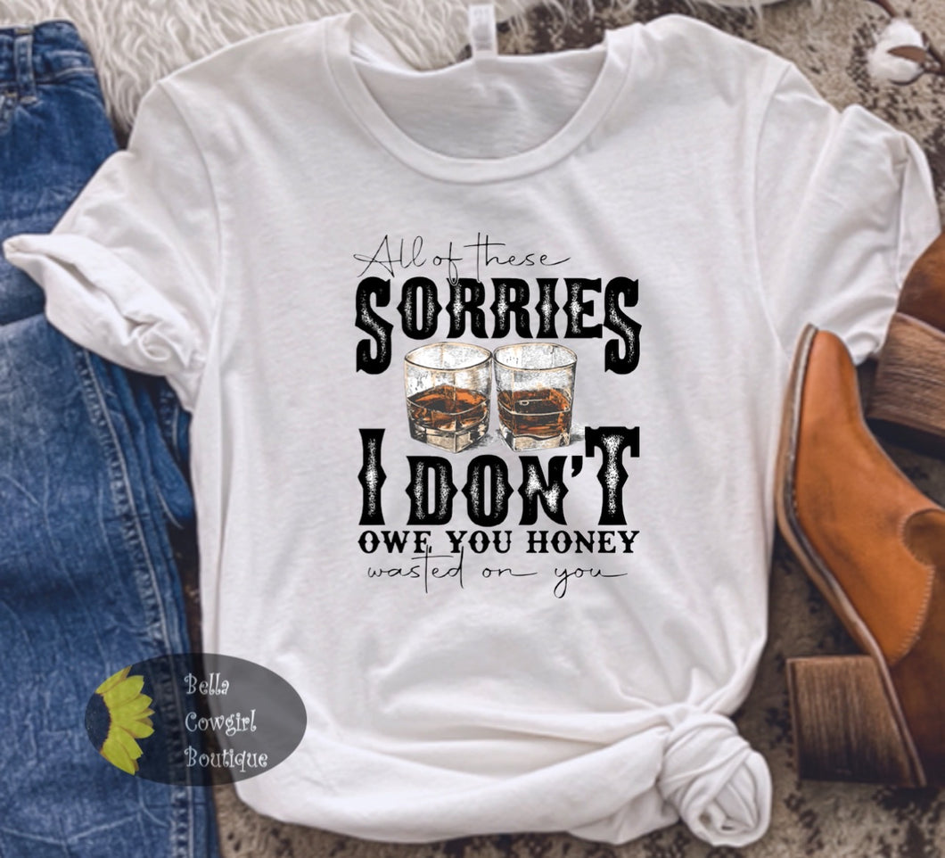 All Of These Sorries I Don't Owe You Honey Wasted On You Whiskey Country Music T-Shirt