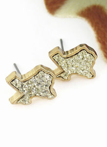 Texas Druzy Stud Earrings